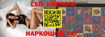 ПСИЛОЦИБИНОВЫЕ ГРИБЫ Кимры